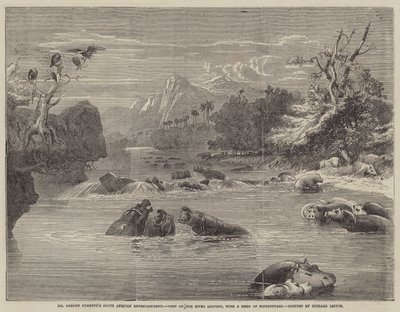 El entretenimiento sudafricano del Sr. Gordon Cumming, vista en el río Limpopo, con una manada de hipopótamos de Richard Principal Leitch